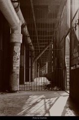 _IMG8113.jpg