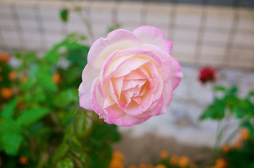 R0032015