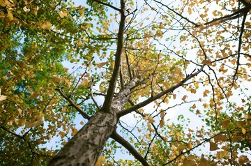 R0032013