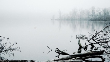 P1000922-1.jpg