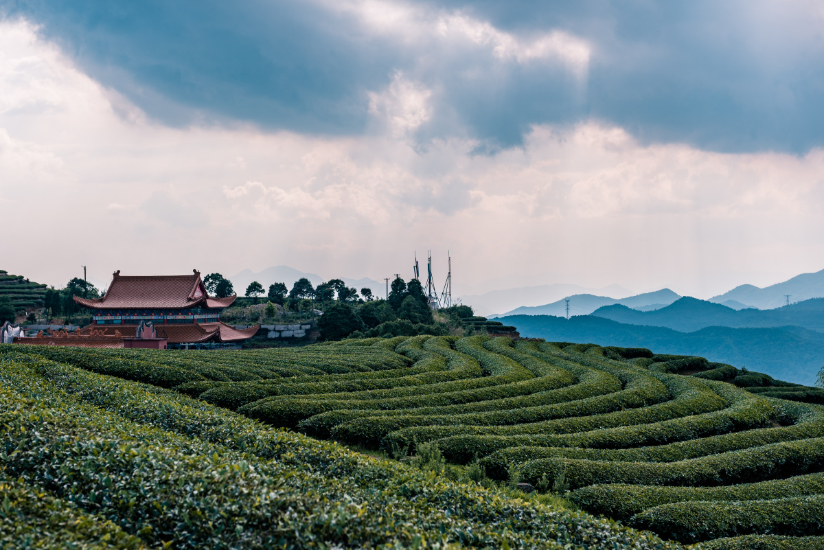 长龙茶山炉峰山观景台