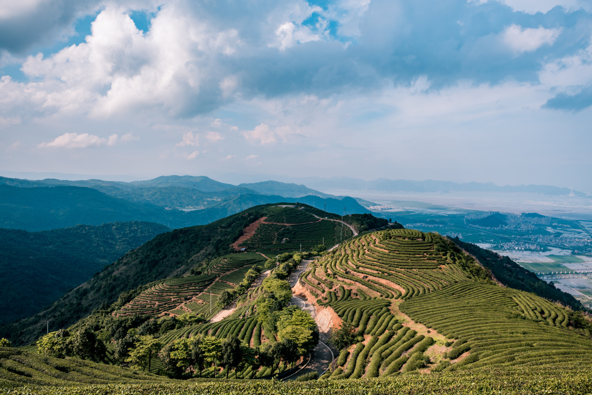 长龙茶山炉峰山观景台