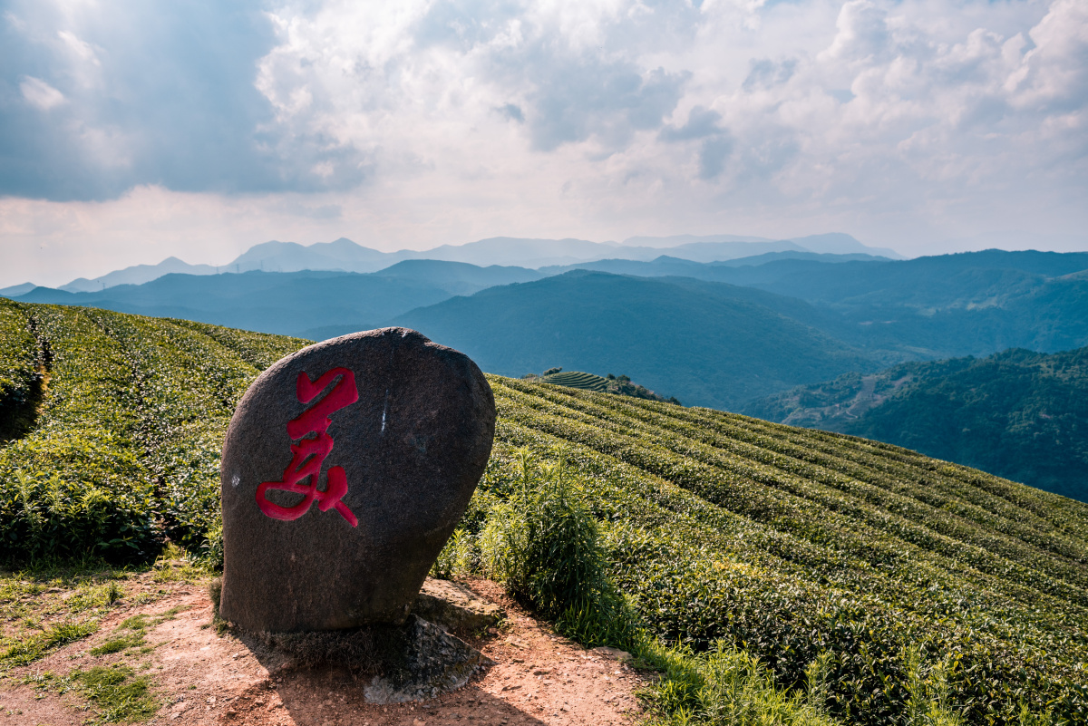 长龙茶山炉峰山观景台