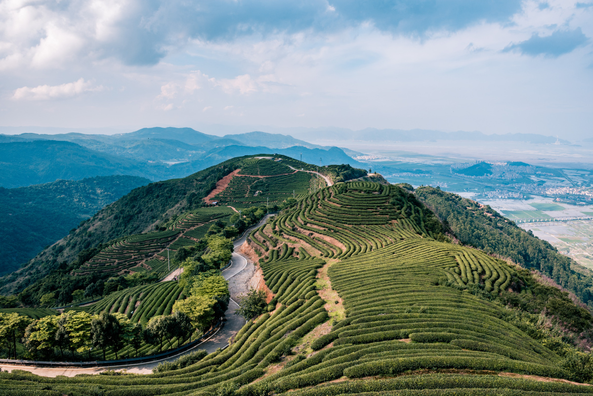 长龙茶山炉峰山观景台