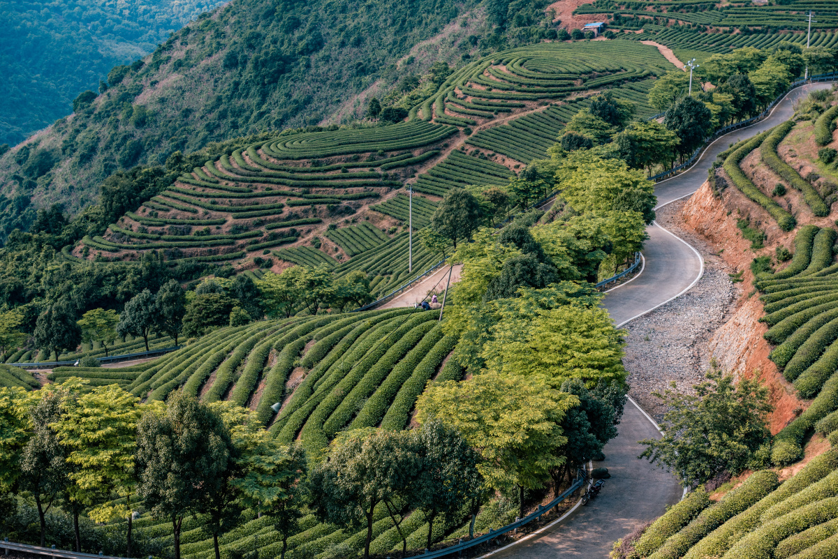 长龙茶山炉峰山观景台