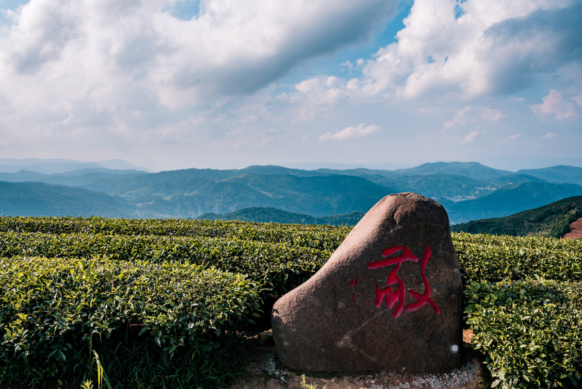长龙茶山炉峰山观景台