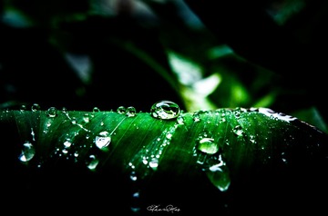 水珠水印
