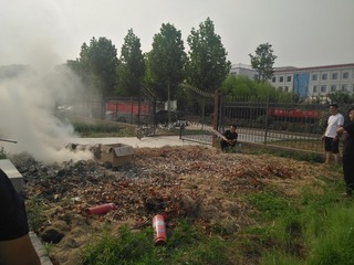 2950639
