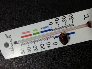 20150407_125909