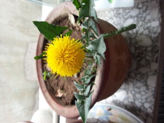 20150419_104633