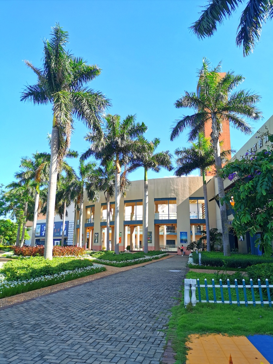 海南省海口市新埠岛星海湾金逸影城旁海岛的夏日光影