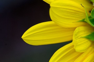 _DSC4589-1.jpg