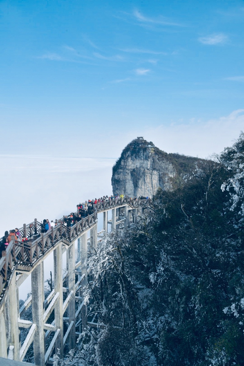 张家界天门山雾松云海