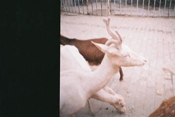 000021.JPG