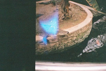 000031.JPG