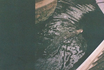 000034.JPG