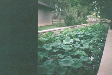 000037.JPG