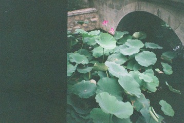 000039.JPG