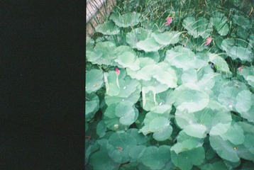 000040.JPG