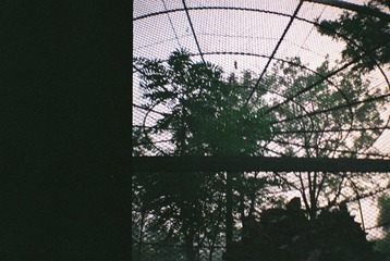 000043.JPG