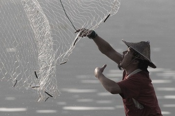 IMG_6091.jpg