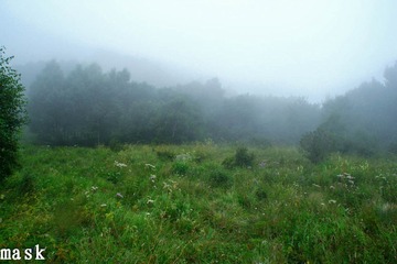20110827-IMG_6330.jpg