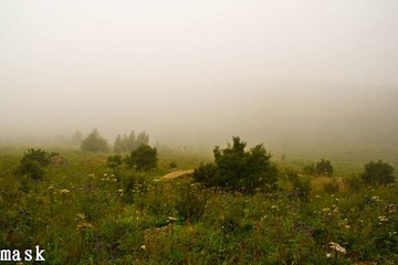20110827-IMG_6345.jpg