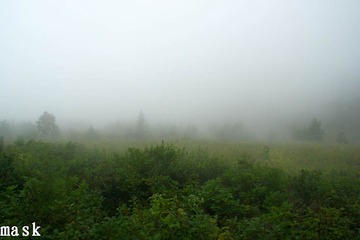 20110827-IMG_6423.jpg