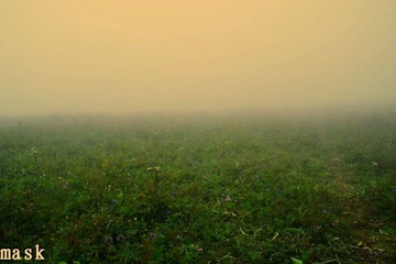 20110827-IMG_6428.jpg