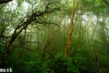 20110827-IMG_6453.jpg