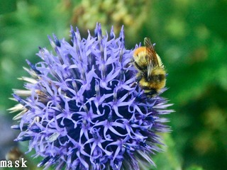 20110827-IMG_6519.jpg