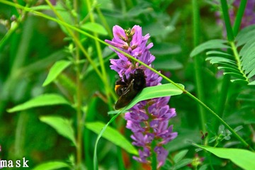 20110827-IMG_6241.jpg
