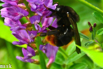 20110827-IMG_6244.jpg
