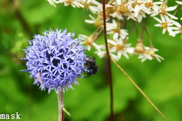 20110827-IMG_6338.jpg