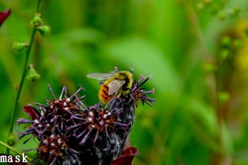20110827-IMG_6344.jpg
