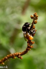 20110827-IMG_6351.jpg