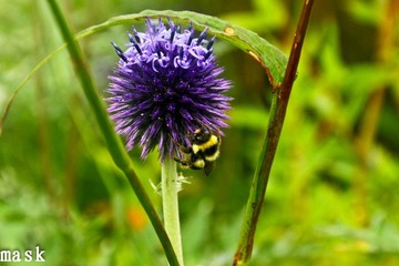 20110827-IMG_6481.jpg