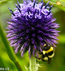 20110827-IMG_6481-2.jpg