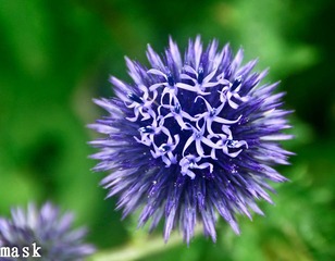20110827-IMG_6508.jpg