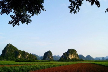 _DSC8563.JPG