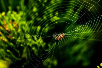_DSC1917 拷贝