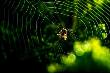 _DSC1924 拷贝