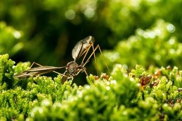 _DSC1888 拷贝