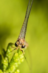 _DSC4598 拷贝