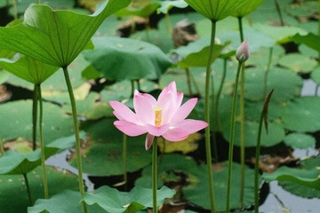 001