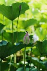 001