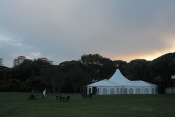 IMG_6601.jpg