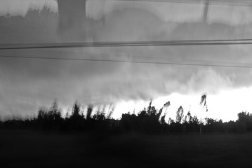 P1120566-1.jpg