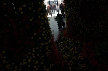 R0000141