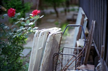 Scan-120530-0004.jpg